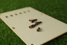 Load image into Gallery viewer, Aged Tremolo Cover Back Plate For Strat Aged White with Aged Screws ABP145
