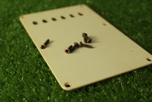 Load image into Gallery viewer, Aged Tremolo Cover Back Plate For Strat Mint Green with Aged Screws ABP147
