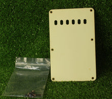 Load image into Gallery viewer, Aged Tremolo Cover Back Plate For Strat Mint Green with Aged Screws ABP147
