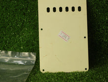 Load image into Gallery viewer, Aged Tremolo Cover Back Plate For Strat Mint Green with Aged Screws ABP147
