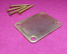 Load image into Gallery viewer, Aged Gold Serial Number Stamped Neck Plate w Screws For Strat Tele 1957 - 17XXX
