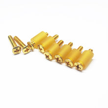 Load image into Gallery viewer, GS-056 Vintage Countersunk Pickup Screws w/ Rubber Spacers
