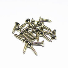 Load image into Gallery viewer, Allparts Standard Imperial Sized Pickguard Screws - Nickel (20)
