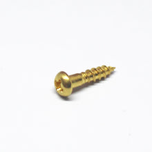 Load image into Gallery viewer, GS-105 - Machine Head/Truss Rod Cover Screws (12)
