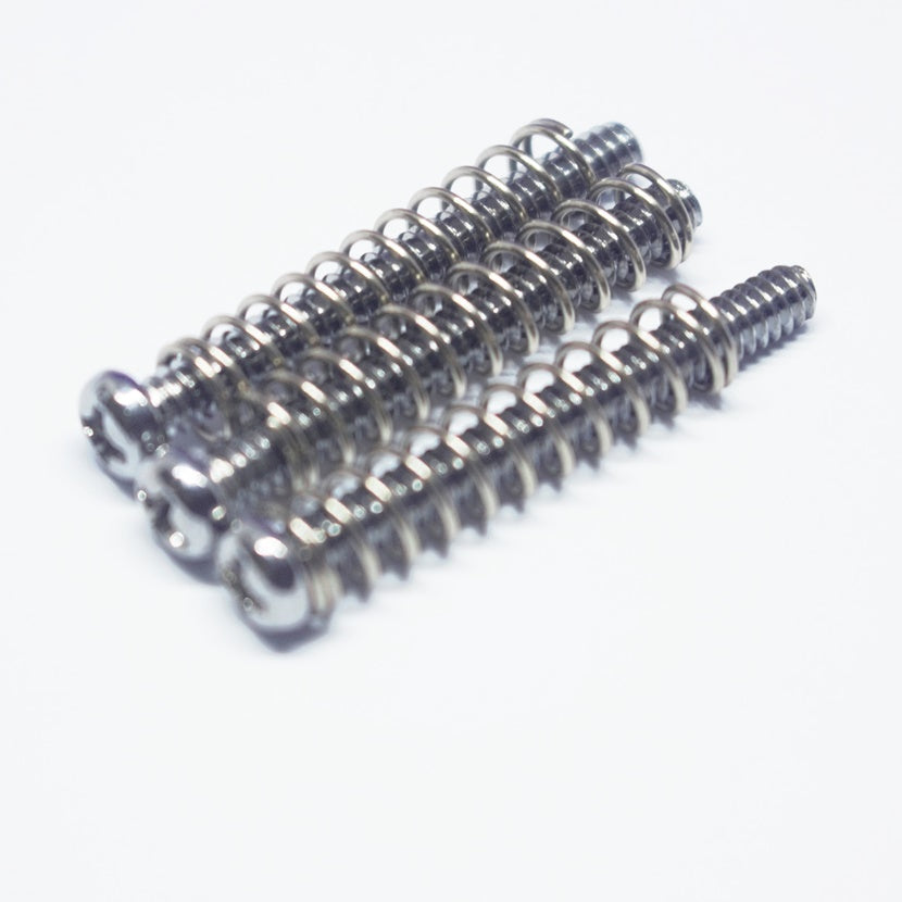 GS-119-SS - Intonation Screws & Springs For Telecaster - Stainless