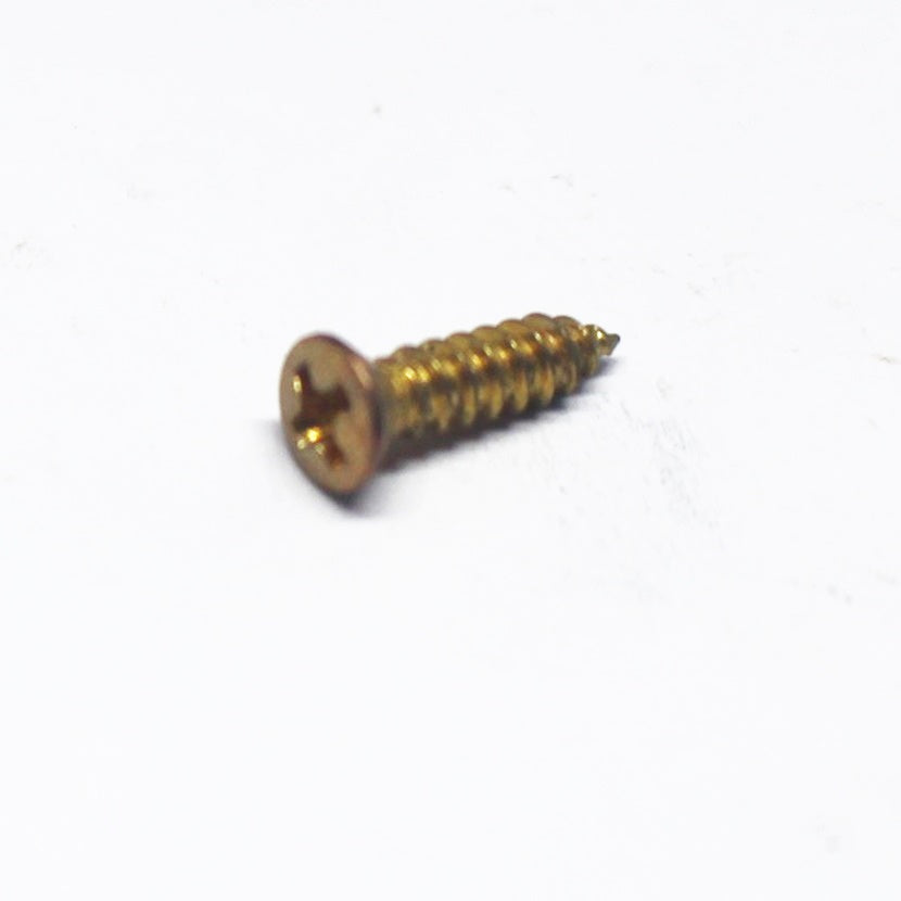 Imperial Sized Pickguard Screws - Aged Gold (19) -E064