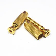 Load image into Gallery viewer, BP-077-GD - Takeuchi Floyd Rose TRS101 Studs and Anchors Set - Gold
