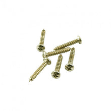 Load image into Gallery viewer, GS-051 WD Archtop Tailpiece Mounting Screws (6)
